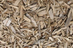 biomass boilers Adbolton